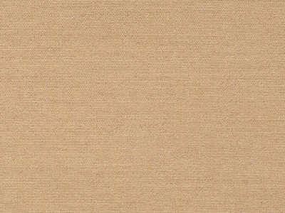 Play Camel furniture fabric. Item number 40616-0003